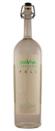 Jacopo Poli Uva Viva  N. V. Grape Brandy  Con Torbo (750ml) (Can't Ship) 